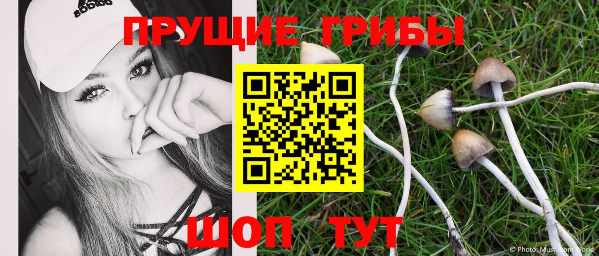Саяногорск  Галлюциногенные грибы MAGIC MUSHROOMS  Вход с VPN 