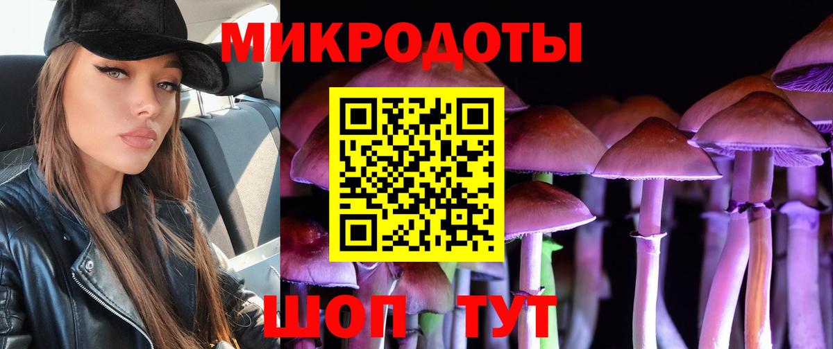 Галлюциногенные грибы Psilocybine cubensis Саяногорск